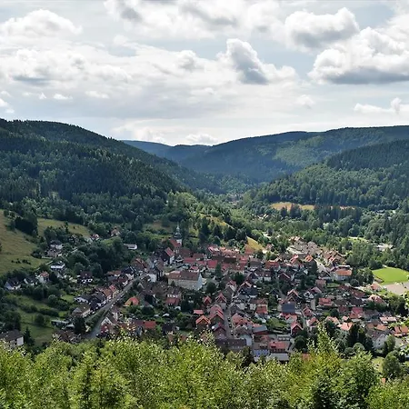 Apartment Haus Am Bielstein Lautenthal