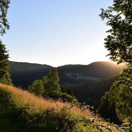 Haus Am Bielstein * Lautenthal