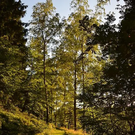 Lejlighed Haus Am Bielstein *
