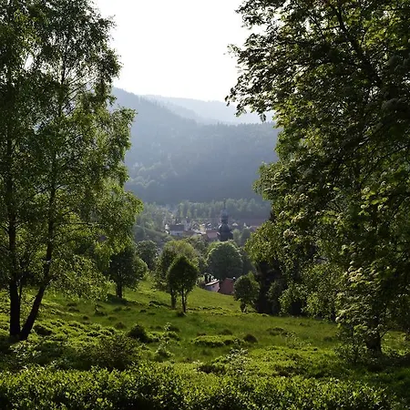 Lejlighed Haus Am Bielstein